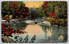 Philo Antique Illinois Postcard CHAMPAIGN Boating Scene Scenic River 1913 picture