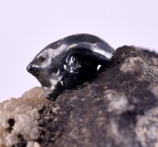 5.3cms ACANTHITE NATIVE SILVER PERU UCHUCCHACUA MINE HB284 picture