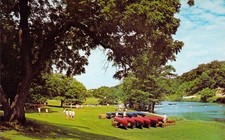 1968 Texas Hunt Camp Mystic Girls Camp canoeing  Mint Postcard A99 picture