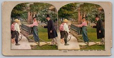 The Smart Aleck Stereoview 79A Curved Mount Color Printed picture