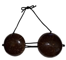 Vintage Real Coconut Bra Hawaiian Hula Dancer Islander Costume Bikini Top Tie picture
