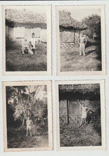 WW2 Photographs USA Service Man Uncle Aegis Somewhere in India c1943 Lot of 6 picture