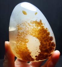 TOP 234.6 G Natural Polished Aquatic Plants Agate Crystal Madagascar   BWA718 picture