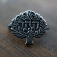Vintage 1961 JNF I Planted A Tree In Israel KKL Hebrew Judaica Lapel Pin picture