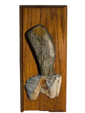 Hand-Carved Alaska Soapstone Whale Plaque  – Signed D. Potter – Alaska® picture