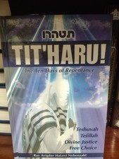 TIT'HARU THE 10 DAYS OF REPENTANCE - Rav Avigdor HaLevi Nevenzahl תטהרו picture