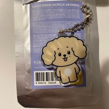 SEVENTEEN DK MINITEEN DOA Acrylic Keyring picture