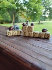 Blossom Bucket Suzi Skoglund Go Bucks Football Team Cheerleader Blocks Letters picture