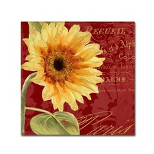 Trademark Fine Art 'Ete IV' Canvas Art 24x24 picture