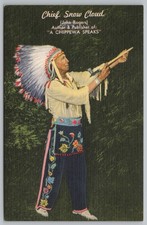 Chief Snow Cloud Chippewa Indian Northen Minnesota Linen Postcard Tichnor UNP picture