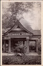 Salt Sulpher Springs Pavilion Real Photo Postcard c. 1910s Auburn Ind. RPPC picture