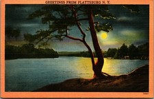 Generic Moonlit Landscape Greetings From Plattsburg NY New York Linen Postcard  picture