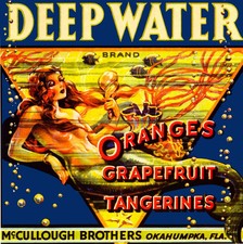 f52 Okahumpka Deep Water Florida Mermaid Orange Fruit Crate Label Fridge Magnet picture