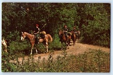 c1940's Boy Scouts Riding Horse Scene Field Trees Unposted Vintage Postcard picture