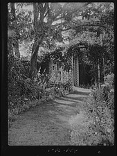 Photo:East Hampton NY Albert Herter Garden Path 1930s Arnold Genthe picture