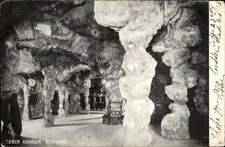 Blackpool Tower Aquarium c1900s-10s Vintage Postcard picture