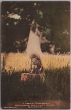 c1910s Leavenworth, Kansas Postcard