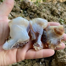 3 Pc Polished Flame Agate Specimens Lot 8.29 Oz picture