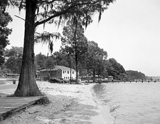 1948 Lake Waccamaw North Carolina Vintage Old Photo Picture 8.5