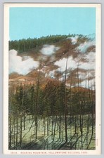 Roaring Mountain Yellowstone Park Postcard Haynes White Border Geothermal Geyser picture