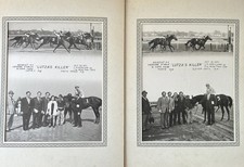 Vintage Aqueduct NY Race Track “Lutza’s Killer” 1971 Arellano & Guadelupe Lot picture