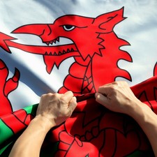 Anley Rip-Proof Double Sided 3-Ply Wales Flag 3x5 Ft Welsh National Flag 3X5 Ft picture