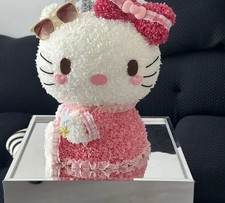 Everlasting Hello Kitty Preserved Flower Brand New Very Rare picture