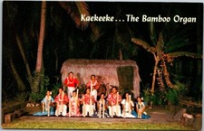 Kaekeeke ... The Bamboo Organ or Pipes Hawaiian VTG Chrome Postcard Unposted A19 picture