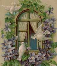 Hearty Greetings dove lilacs embossed floral art Postcard window ivy posted picture