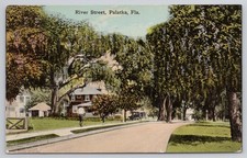 River Street Palatka FL Florida Vintage Postcard Posted 1920s Trees Houses picture