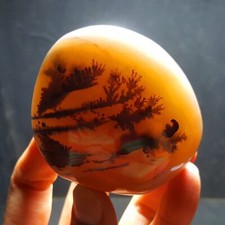 HOT232.9g Natural Polished Aquatic Plants Agate Madagascar 29A91+ picture