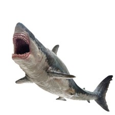PNSO Shark King Megalodon 32cm Prehistoric Shark Model New In Box Sealed picture