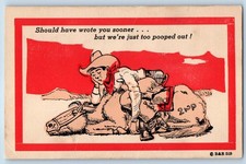c1940's Cowboy And Horse Sleeping Should Have Wrote You Sooner Vintage Postcard picture