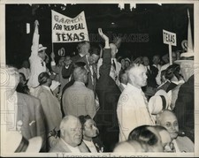 1932 Press Photo Democratic National Convention Chicagothe Texas delegates picture