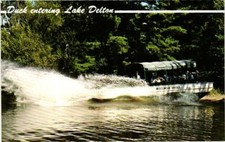 Duck Entering Lake Delton Wisconsin Dells Wisconsin Postcard picture