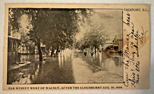 Elk Street West of Walnut After The Cloudburst- Freeport IL August 19, 1906 Phot picture