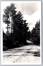 Greetings from Houghton Lake Michigan Winding Pine Trail RPPC Postcard PC189 picture