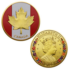 Canada Government Commemorative Challenge Coin Elizabeth II Collectable 1-pc picture