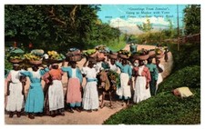 1920s People Going to Market Constant Spring Kingston Jamaica Vintage Postcard picture