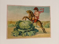 N7 GREAT LONDON TEA CO Boston MA Baby Riding Rabbit Trade Card Advertising  picture