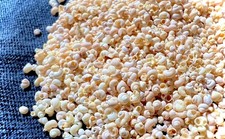 Natural Micro Seashells picture