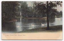 VTG 1904 Palmer Park Detroit Michigan Postcard, Swans & Water Tower, Rotograph picture