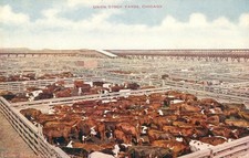 Illinois Postcard Antique 1918 Union Stock Yards, Chicago, Cattle Pens N picture