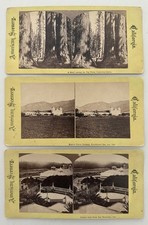3 California Stereoviews Watkins Reilly Santa Barbara Calaveras Golden Gate picture