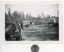 Old 1940's snapshot / LOGGING TRUCKS Loaded with Logs on Lumber Mill Forest Road picture