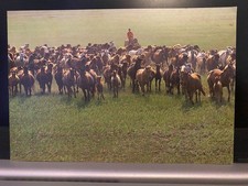 CHINA, BEIJING, 1987, Postcard, GALLOPING STEEDS, unused/Postmarked, PAR AVION picture