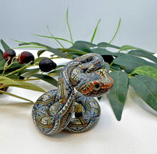 Jon Stuart Anderson FIMO Creations BABY RATTLESNAKE-One of a Kind - COLLECTABLE picture