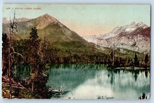 1908 Pettit Lakes Idaho ID Mountains Snowcapped Groves Overview Antique Postcard picture