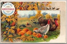 Vintage 1909 THANKSGIVING Postcard Turkey in Pumpkin Patch -
