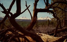 Oregon Three Sisters mountains ~ postcard sku883 picture